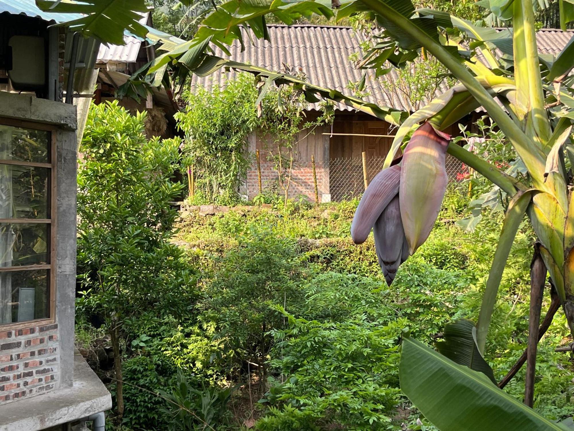 Ya'S House Apartment Sapa Bagian luar foto