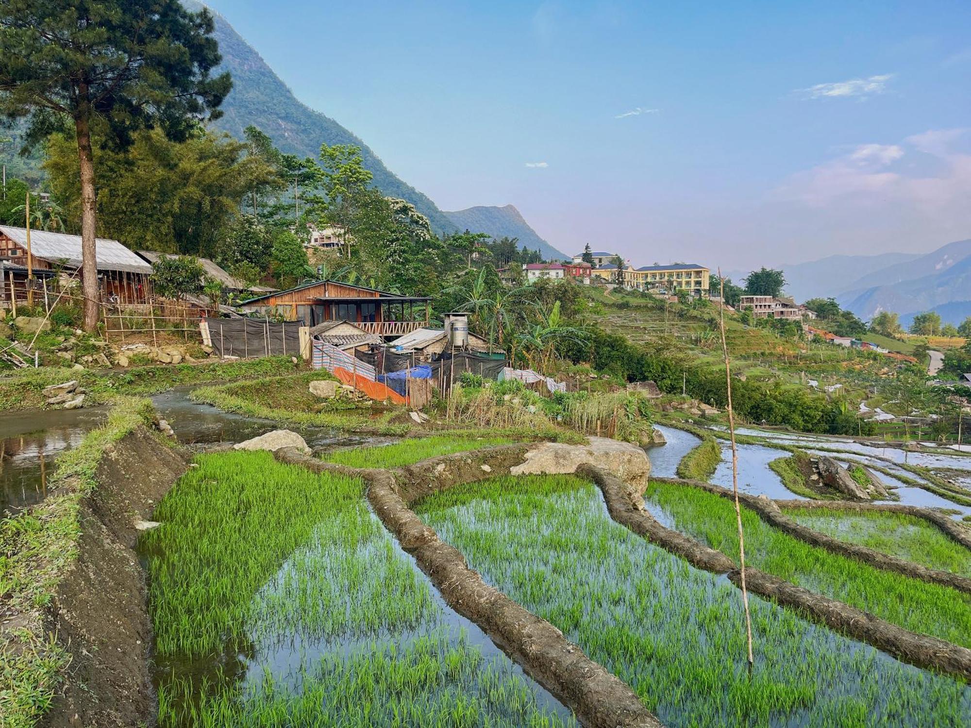Ya'S House Apartment Sapa Bagian luar foto